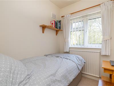 Picture 22